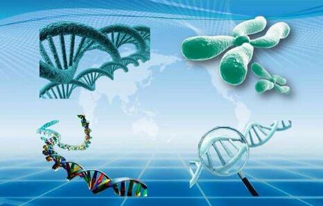 临床分子生物学检验技术