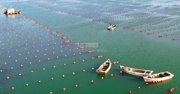 海水养殖业循环经济能值评价指标构建