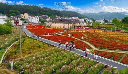 休闲农业与乡村旅游协同创新发展