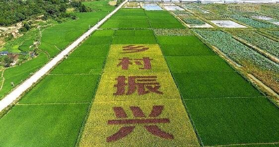 乡村振兴战略下的壮大农村集体经济思考